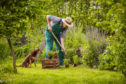 Garden maintenance crew collecting green waste in Hornsey