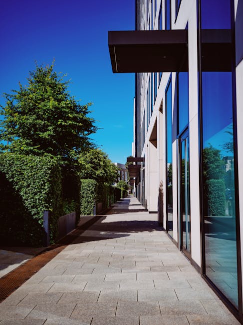 A modern urban garden pathway alongside a contemporary building, with neatly trimmed hedges and trees on the left side, providing greenery and shade. The hedge foliage appears dense and well-maintaine