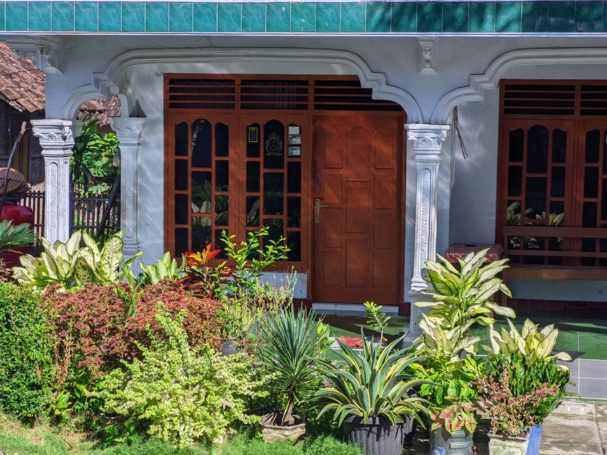A small front garden in a residential terrace featuring a variety of lush, healthy plants and shrubs arranged along the pathway leading to a wooden front door. The garden beds are filled with colorful